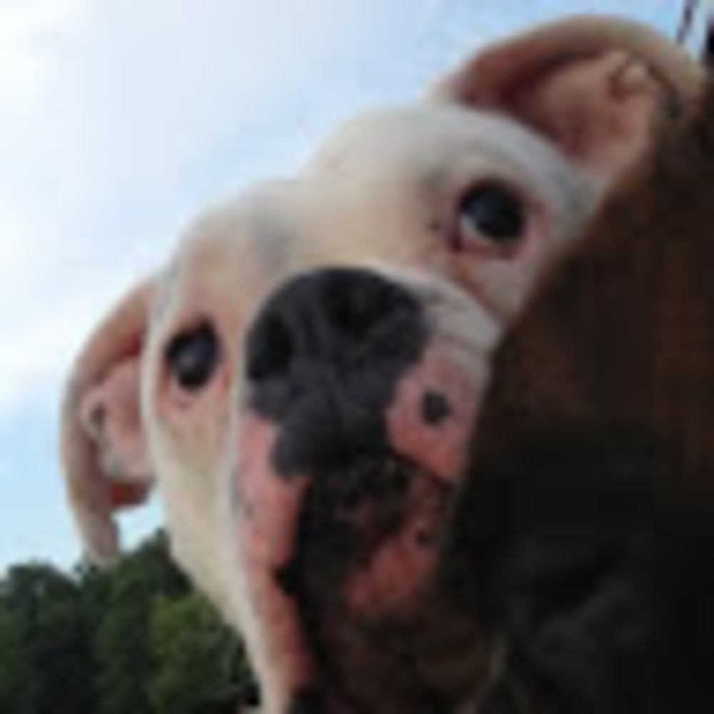 Meet your Posher, Penny